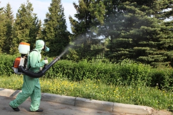 Уничтожение комаров в Коломне